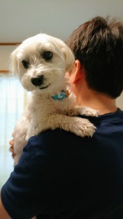 DSC_0016_BURST20210616134629468