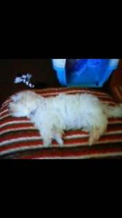 Screenshot_20201124-195405