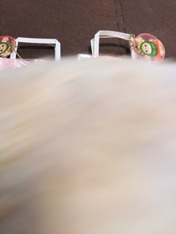 DSC_0000_BURST20240101102948687~2