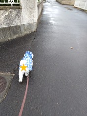 1000170677