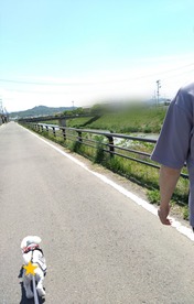 ぼかし丸_20230512_175939