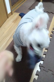 ぼかし丸_20251201_165529