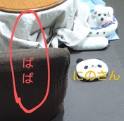 1000231713