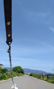 1000133472