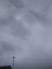 DSC_0000_BURST20240321125822367
