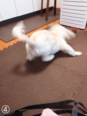 DSC_0000_BURST20240118091955696~2