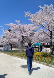 ぼかし丸_20260408_135555