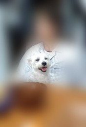 ぼかし丸_20251026_115514