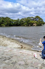DSC_0000_BURST20240605140617560~3