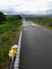 ぼかし丸_20240507_170028