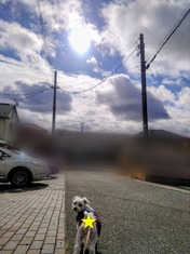 ぼかし丸_20260102_214420