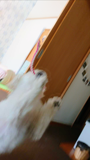 Screenshot_20210324-194723