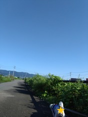 DSC_0000_BURST20230907075130896~2