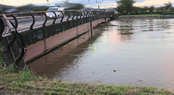 1000124247
