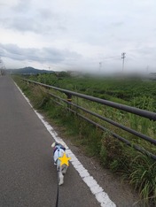ぼかし丸_20230714_195423