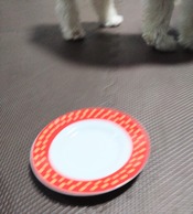 1000173385
