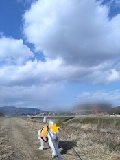 ぼかし丸_20240212_170536