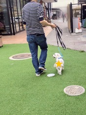 ぼかし丸_20240413_171548