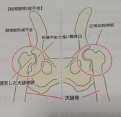 sketch-1665651549440