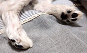 1701352620350