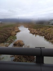 ぼかし丸_20240122_184119