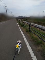ぼかし丸_20230411_175116
