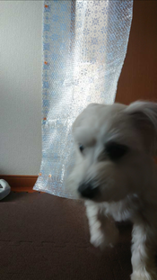 Screenshot_20210108-160643