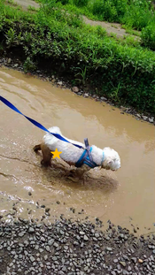 sketch-1620038109152