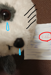 sketch-1676971150451