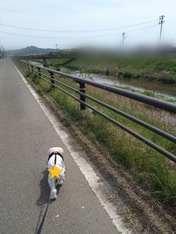 ぼかし丸_20230429_173514