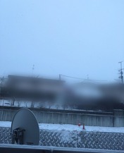 ぼかし丸_20260112_084140