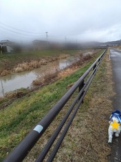 ぼかし丸_20240122_184050