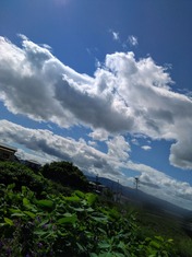 ぼかし丸_20240529_165617