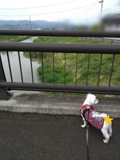 ぼかし丸_20230515_171203~2