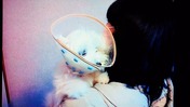 line_1619098468703_copied_1619098482524
