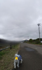 1000081618