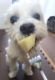DSC_0007_BURST20241220092113750~2