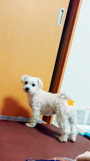 sketch-1613610194553