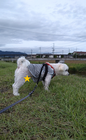 1000074324