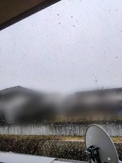 1000256268