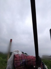 ぼかし丸_20230921_194216