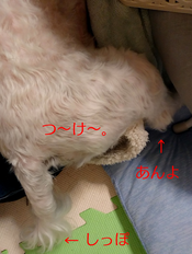sketch-1656318768114