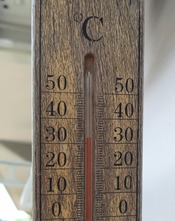 1000217311