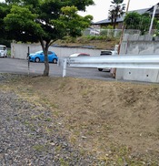 1000155267