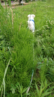 Screenshot_20201203-185509