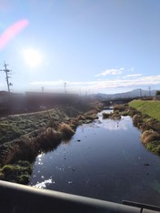 ぼかし丸_20231204_153615