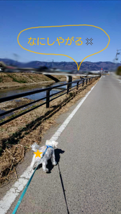 sketch-1616142148246