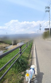 ぼかし丸_20240407_172634