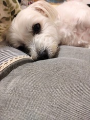 DSC_0007_BURST20230823142607179~2