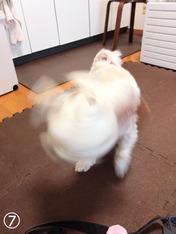 DSC_0002_BURST20240118091959958~2